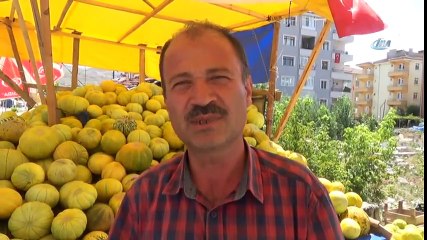 Çankırı'da Kavun Üretimi Yüzleri Güldürdü