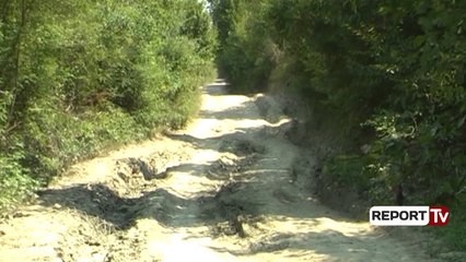 Rrruga e plazhit kronika