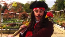 Gigglebiz The Lost Pirate who is still on the trail of his treasure in a garden centre