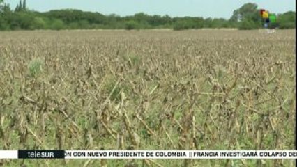 Impacto Económico: Crece la informalidad laboral en Perú