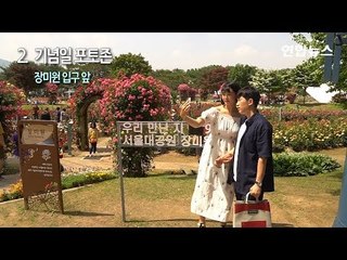 2018 서울대공원 장미 축제... 연인끼리 사진찍기 포인트 5 / 연합뉴스 (Yonhapnews)