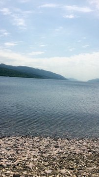 Strange Something Swimming in Loch Ness