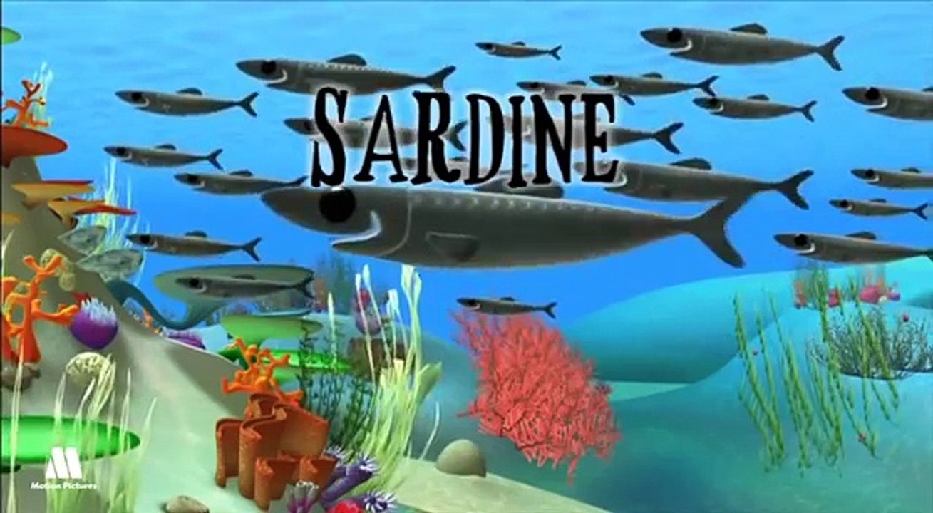 Fishes, learning animals. Alex educational cartoons