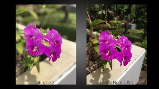 Redmi Note 5 Pro vs iPhone X Camera Comparison - Is the iPhone Worth 6 Times As Much?