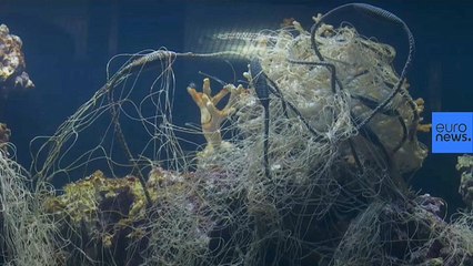 Un zoo invita a los visitantes a ver una pecera llena de basura