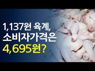 산지 닭값은 1천137원, 소비자가는 4천695원?!  / 연합뉴스 (Yonhapnews)