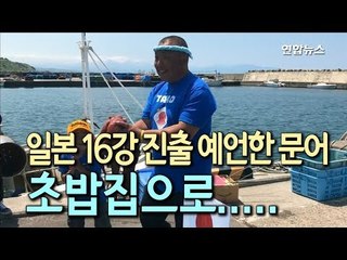 일본 16강 진출 예언한 문어, 초밥집으로 / 연합뉴스 (Yonhapnews)