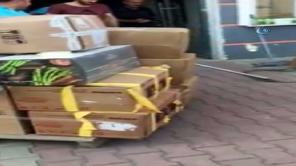 İki metrelik yılan fabrikada dehşet saçtı