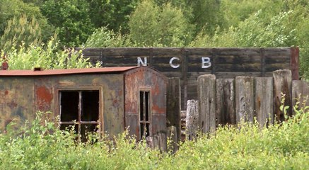 GOODLINES: August 18-19th 2018