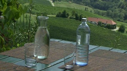 Austria y Rusia, sentadas en la misma mesa nupcial