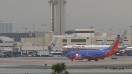 Don't Be Surprised if You See a Mini Horse on Your Southwest Flight