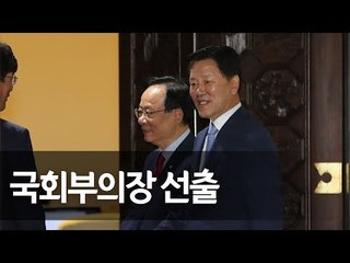 [풀영상] 20대 후반기 국회부의장에 이주영ㆍ주승용 선출 / 연합뉴스 (Yonhapnews)