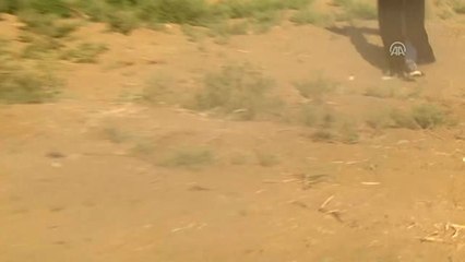 Gazze'deki Büyük Dönüş Yürüyüşü Gösterileri Devam Ediyor (2)