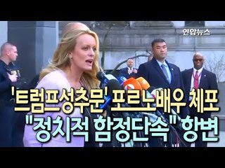 '트럼프성추문' 포르노배우 체포돼…"정치적 함정단속" 항변 / 연합뉴스 (Yonhapnews)