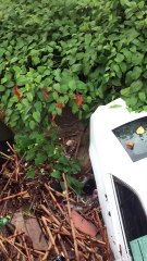 Cars Swept Away in New Jersey Flood