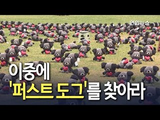 [현장] 개 식용 반대행사에 대통령 반려견 '토리' 등장 / 연합뉴스 (Yonhapnews)