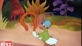 Commando Duck | Donald Duck vs. the Japanese | 1944 | WW2 Era Cartoon