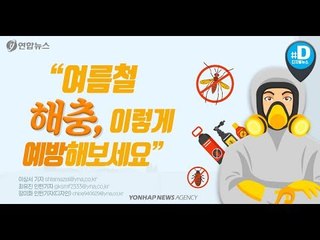 "여름철 해충, 이렇게 예방해 보세요"/ 연합뉴스 (Yonhapnews)
