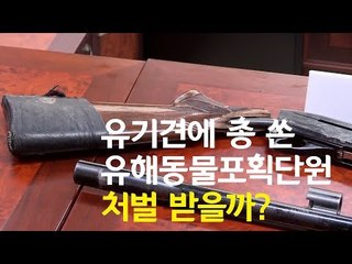 유기견에 총 쏜 유해동물포획단원...처벌 받을까? / 연합뉴스 (Yonhapnews)