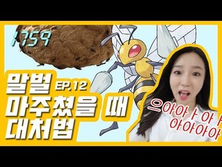 [1759] 말벌에 쏘였을 때 대처법 완전정복!(feat.으앙주금) / 연합뉴스 (Yonhapnews)
