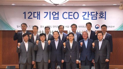 [중점] 대기업 투자 계획 발표...약인가? 독인가? / YTN