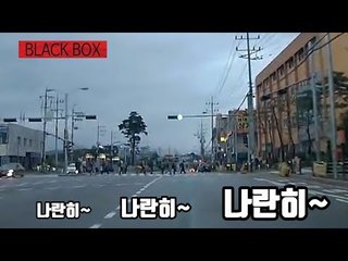 [블랙박스] '나란히 나란히'…출근길 바쁘다고 단체 무단횡단? / 연합뉴스 (Yonhapnews)