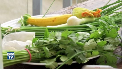 Duel de chefs autour des bigorneaux