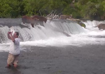 Man Taking Selfie Dangerously Close to Feeding Bears Could Be Charged