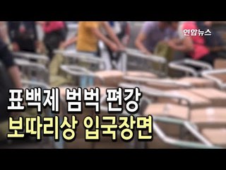 표백제 범벅 중국산 편강 유통한 업자 8명 입건 / 연합뉴스 (Yonhapnews)