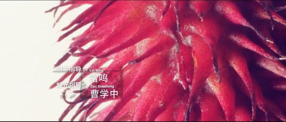 《骨语》20 I Bone language 20