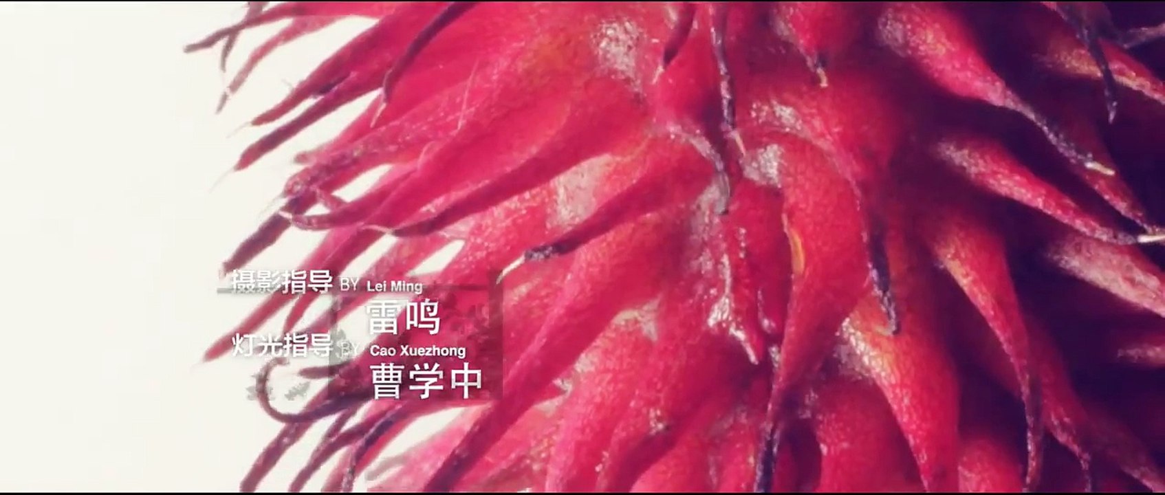 《骨语》20 I Bone language 20