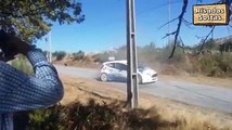 Portuguese rider abdicated victory in rally not to run over dog