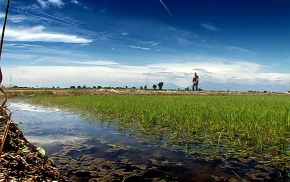 Heston Blumenthal - In Search of Perfection S02E07