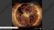 Striking NASA Image Shows Sun's Magnetic Field