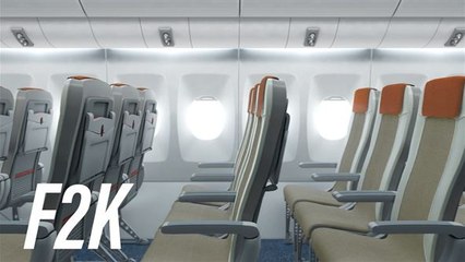 Querida, encolhi o assento do avião!