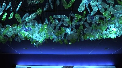 "Voces" de las ballenas de los mares chilenos llegan a Santiago