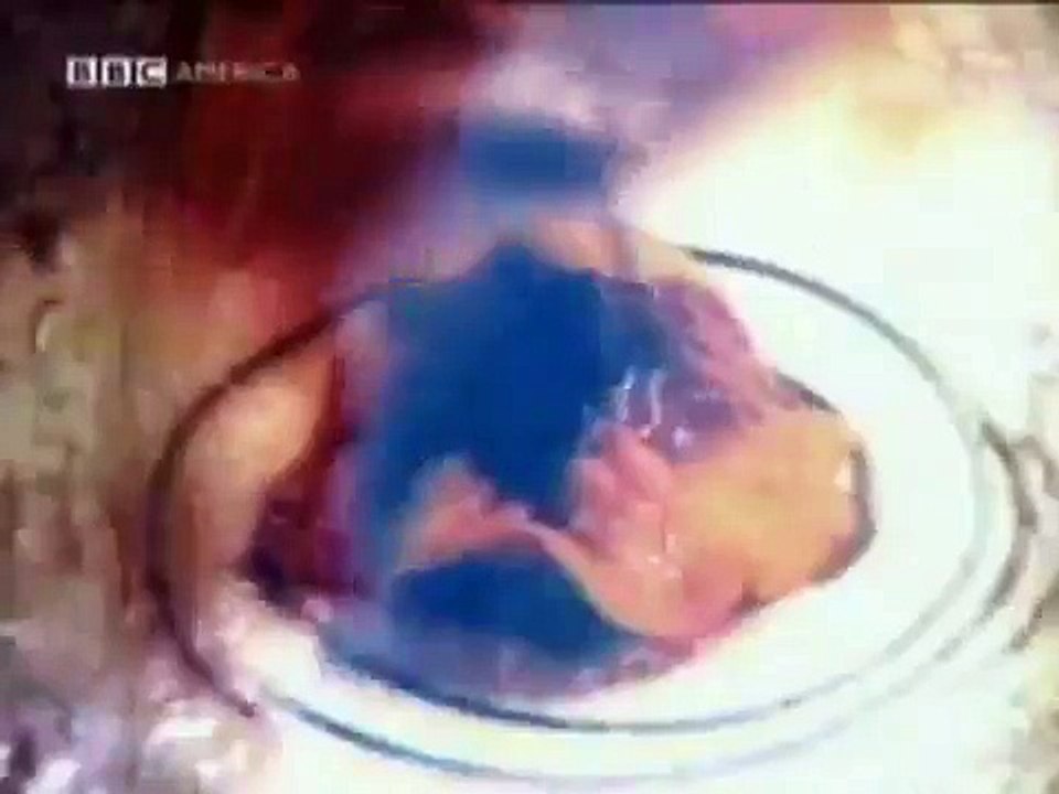 Gordon Ramsay's Boiling Point E05