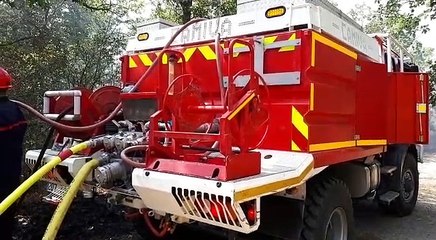 Feu de forêt à Wittelsheim - vidéo L'Alsace