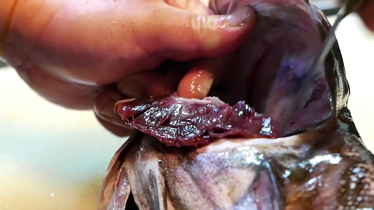 Japanese Street Food - COD FISH SPERM Seafood Okinawa Japan