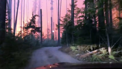 Traverser un incendie de forêt en voiture