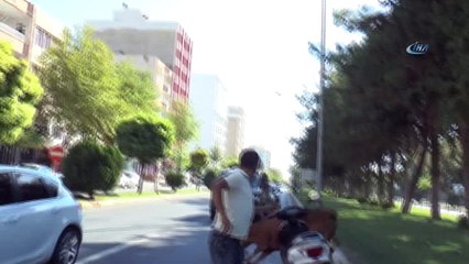 Kurbanlık dana ortalığı birbirine kattı