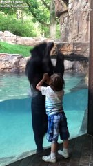 This bear lets his inner child out as he jumps in unison with a 5-year-old boy.