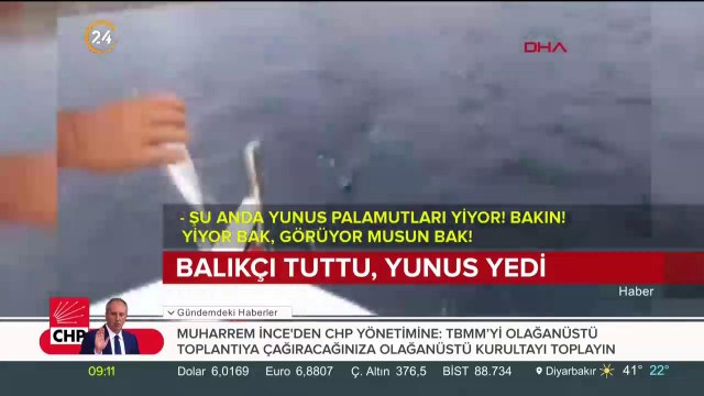 Balıkçı tuttu, yunus yedi