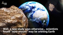Scientists say multiple 'mini-Moons' could be orbiting Earth