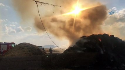 Erzurum’da korkutan ot yangını