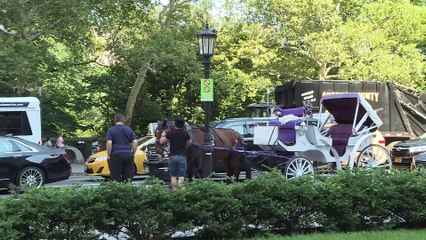 New York'ta faytonculuk geleneğini Türkler sürdürüyor - NEW YORK