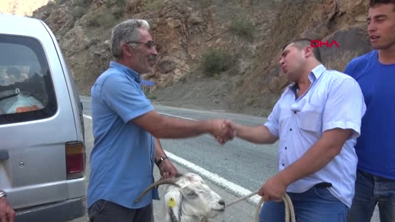 Artvin Çoruh Nehri'ni Kurbanlık Keçi ile Bindiği İlkel Teleferikle Geçti