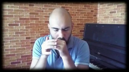 The Tub - Blues Harmonica (David Barrett)