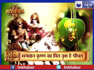 जानिए पीपल के पेड़ हो सकते हैं क्या-क्या चमत्कार