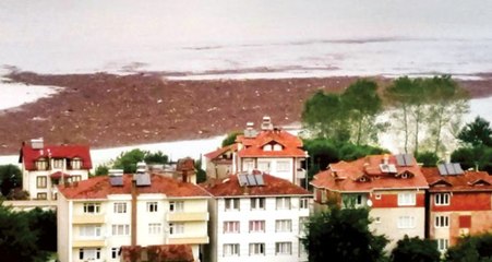 Ordu'daki Selde 809 Ton Fındık, 17 Bin Civciv Zarar Gördü